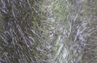 Putney Vale fibreglass roof work