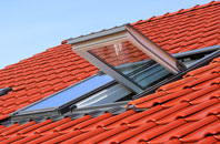 Putney Vale roof window